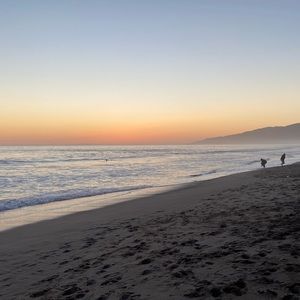 Meet your Posher, Rita